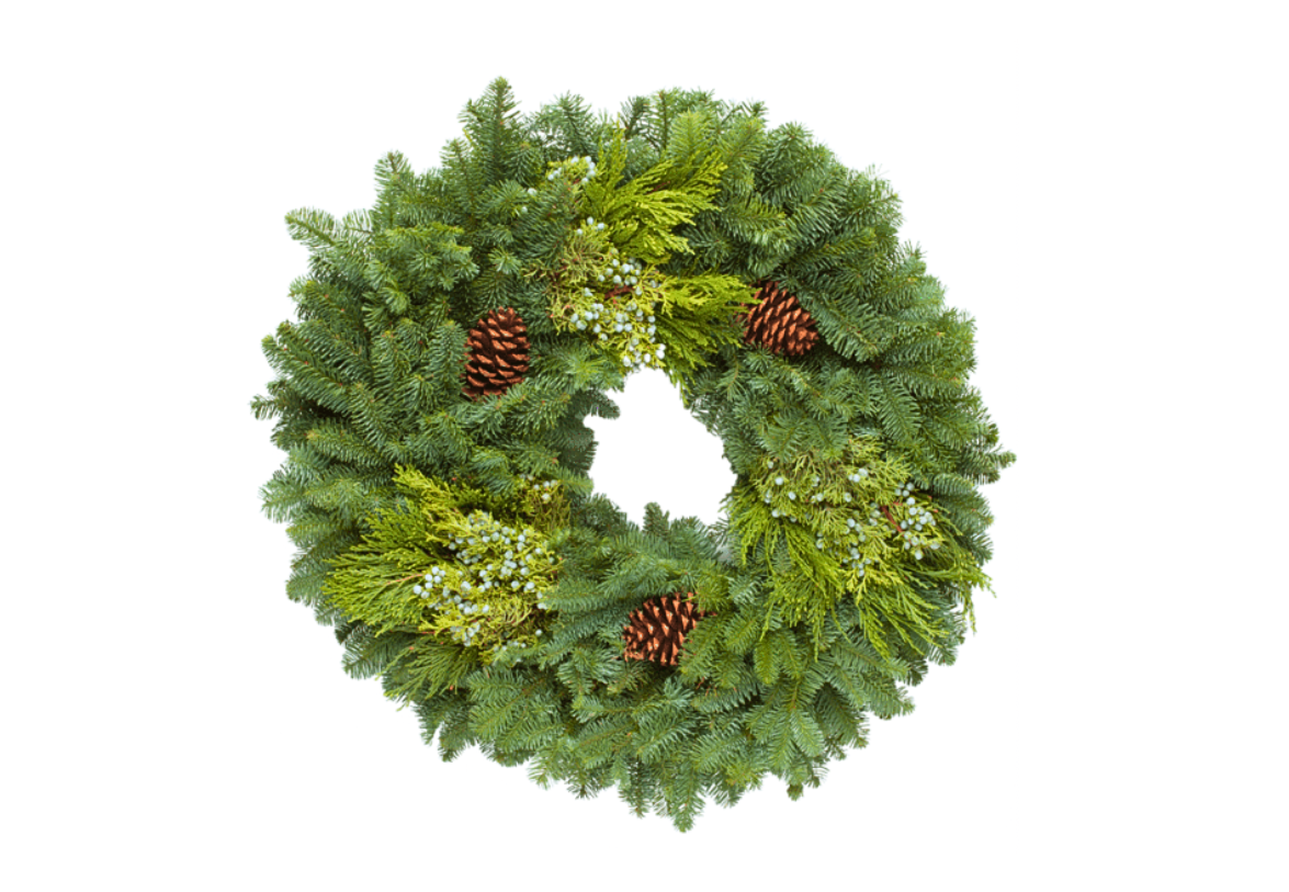 24" Silver Fir Wreath
